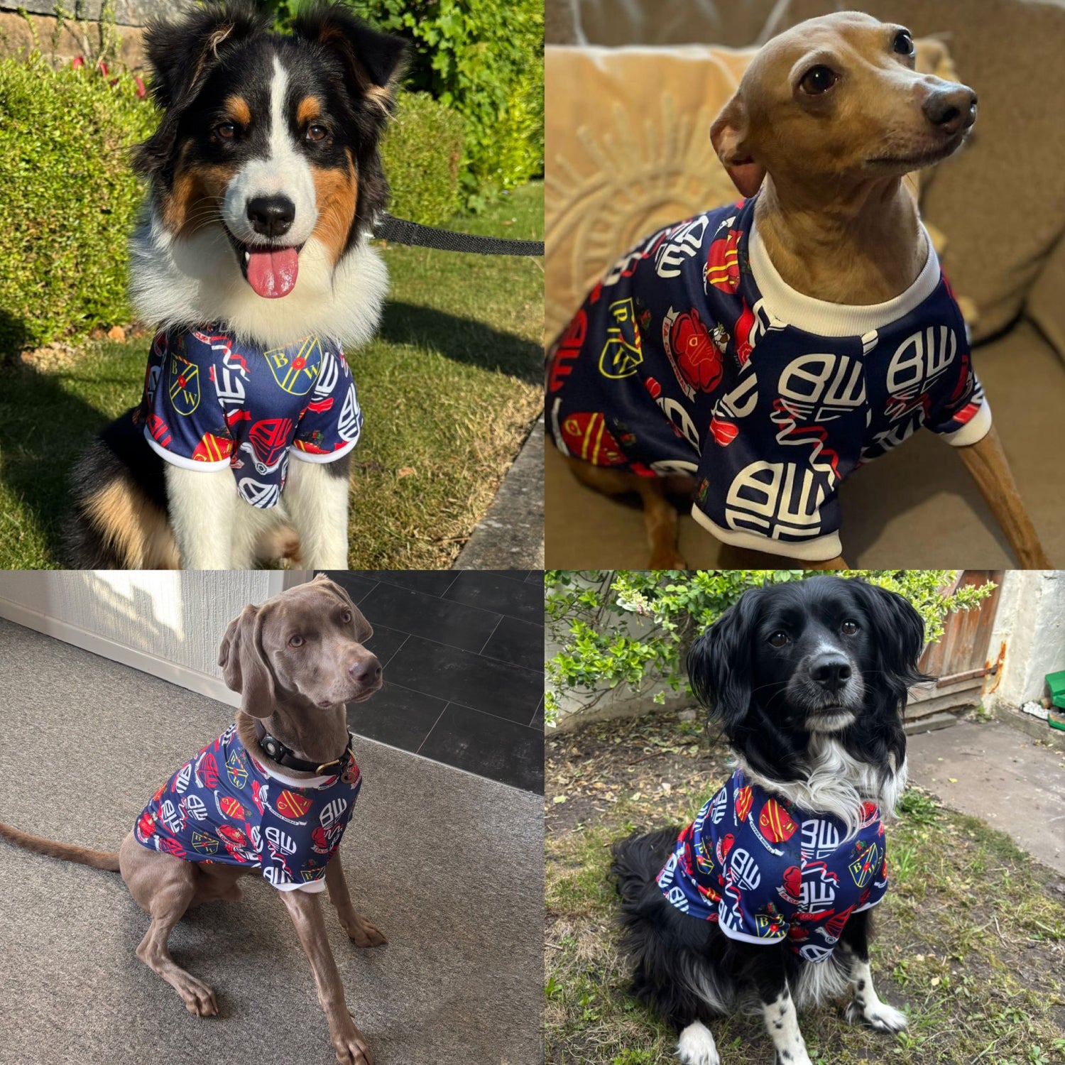Badge Dog Shirt
