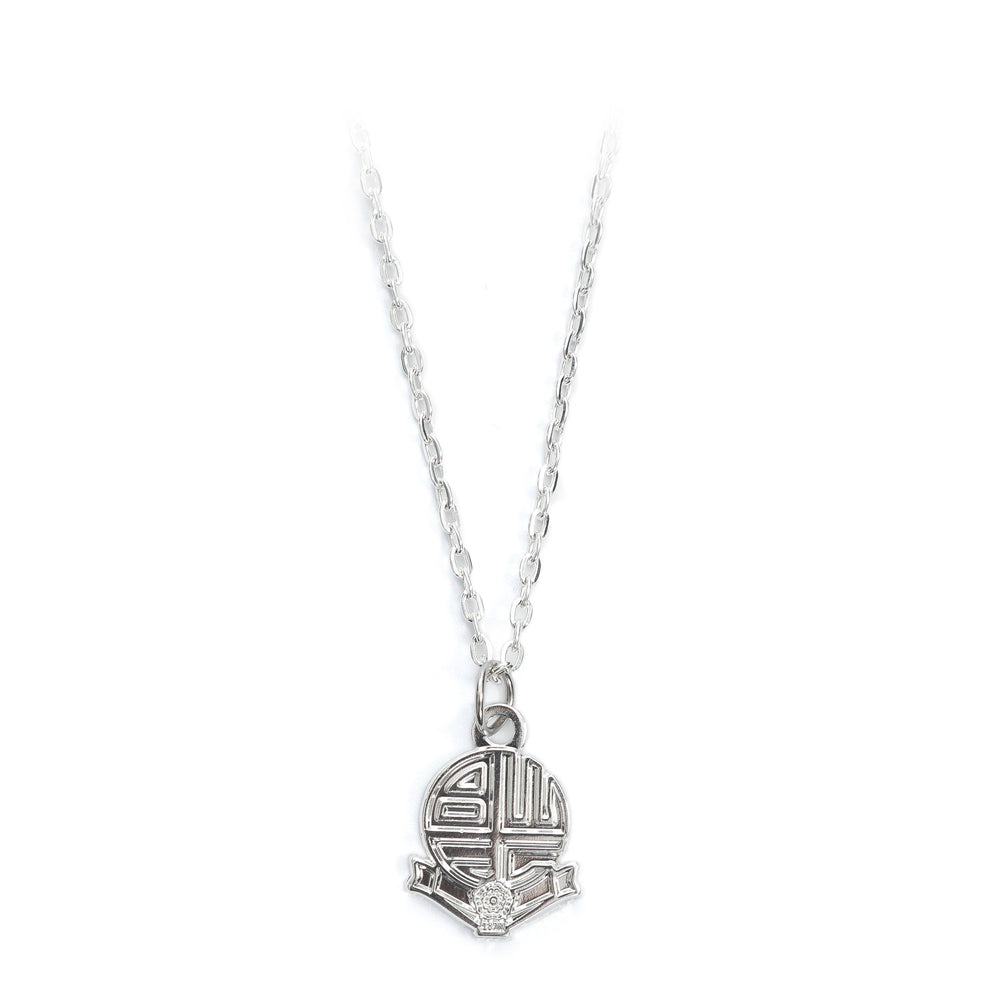 Silver Plated Crest Pendant and Chain