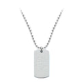 Stainless Steel Dog Tag and Chain