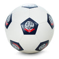 Panel Size 3 Football