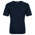 Capella T